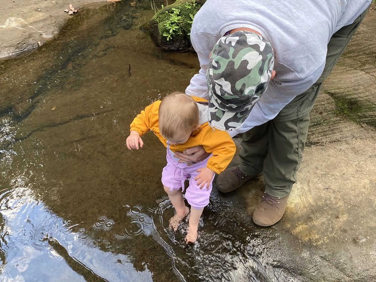 An adult supporting a young child dipping her toes into a creek